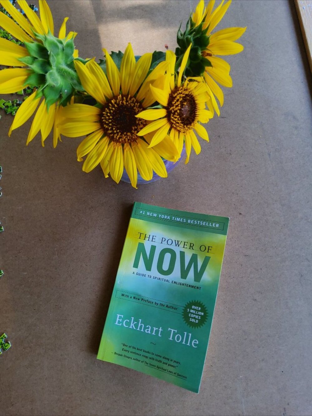 The Power of Now Eckhart Tolle NYT Bestseller Self-Help Mindfulness Paper Book